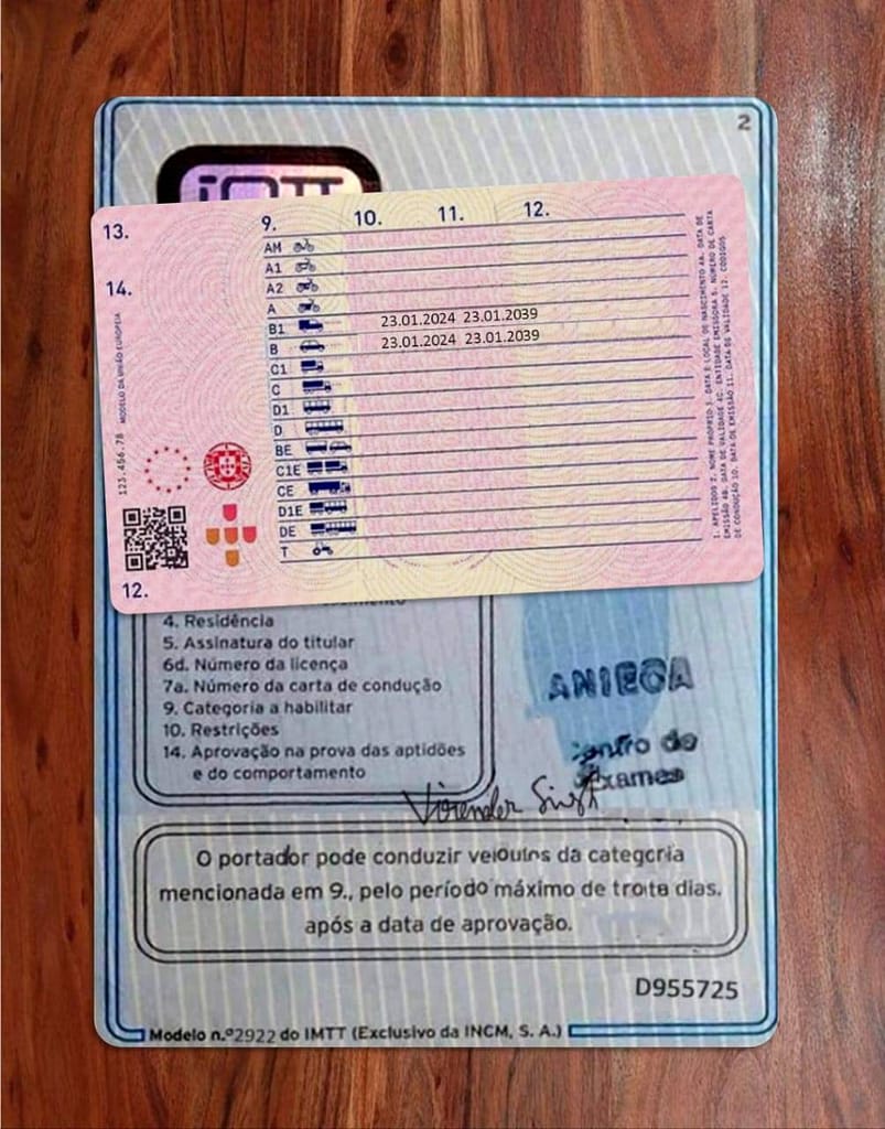 carta de condução renovação
