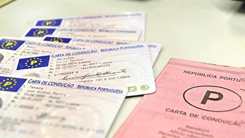 carta de condução internacional carta de condução am